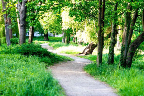 Fest im Park“
